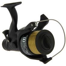 Load image into Gallery viewer, TT60 4BB Carp Runner Reel